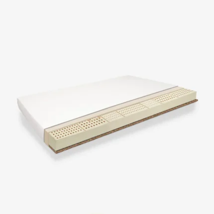 Natural Latex Basic Box