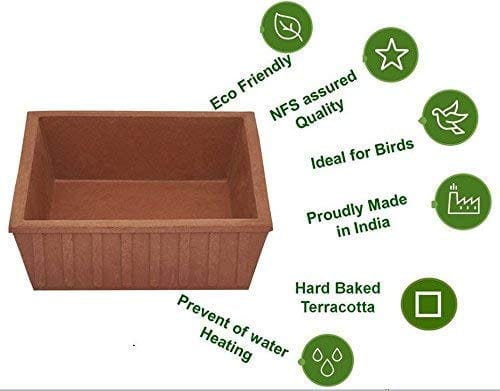 41tXOC9cs0L_06f65016-cbcf-4184-a92f-c5abaf0f753e (1)