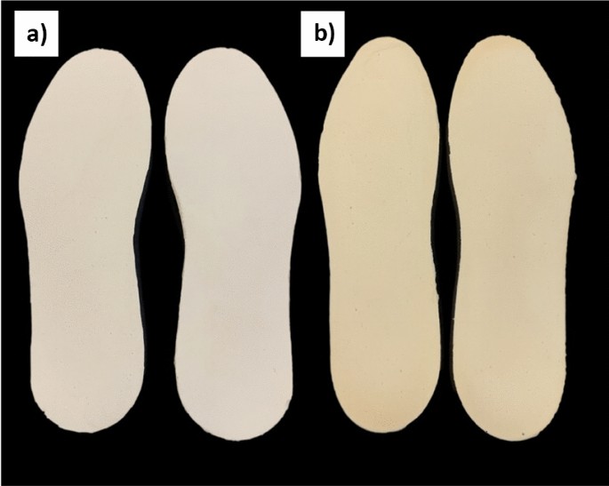 42464_2024_236_Fig3_HTML