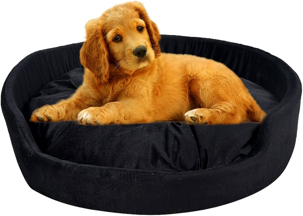 61lsWWawFDL._AC_UF1000,1000_QL80_