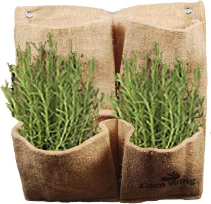 Jute Plant-Based Pack