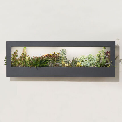 Natural Latex Plant-Based Frame