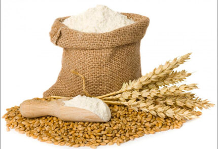 Maize Flour Export Quality