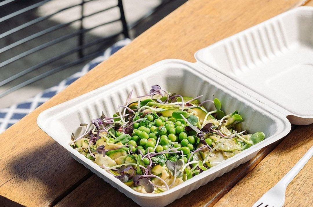 bangladesh-export-quality-sugarcane-bagasse-product