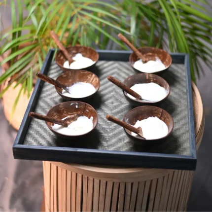 Coconut Shell Basic Tray
