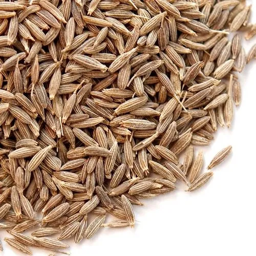 cumin-seeds-500x500 (1)
