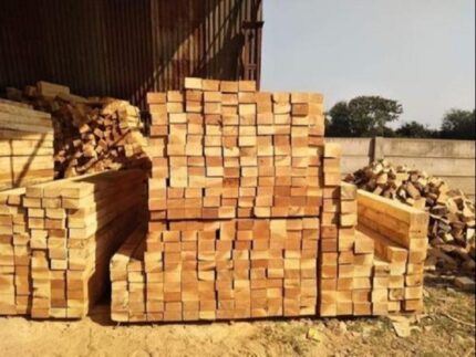 Neem Wood Construction Bundle