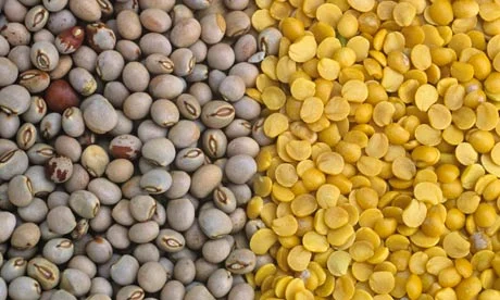 split-pigeon-pea-500x500