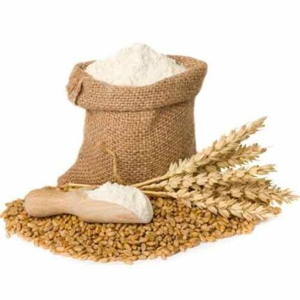 Maize Flour Export Quality