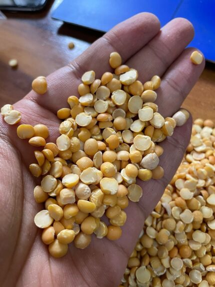 Split Pigeon Peas Export Quality